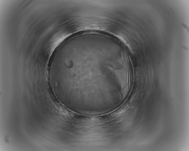 X0000094800879200711301537