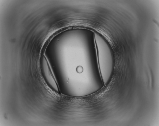 X0000094800880200711301537