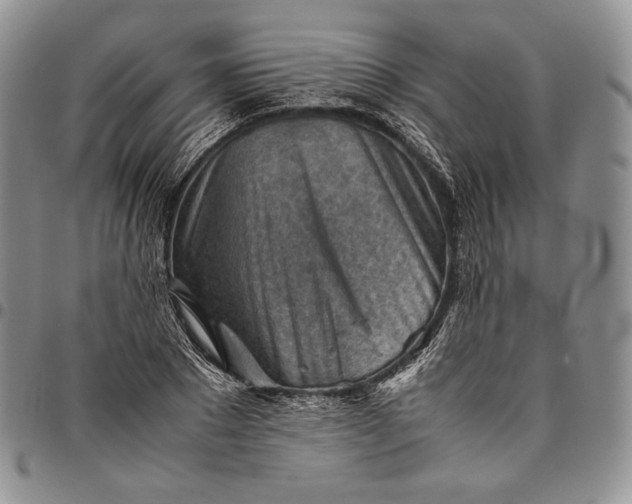 X0000094800881200711301537
