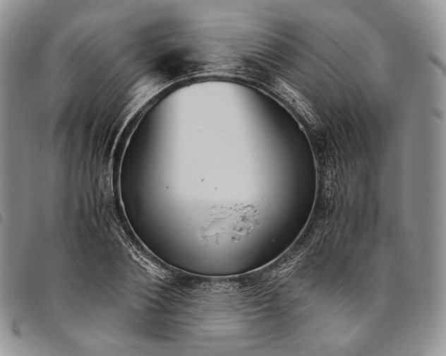 X0000094800884200711301537