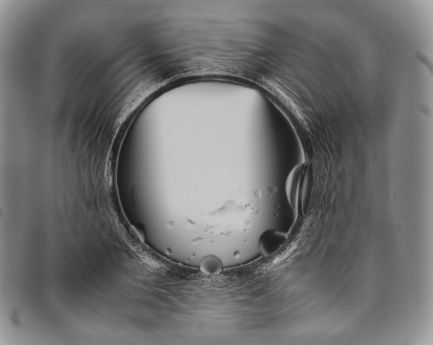 X0000094800885200711301537