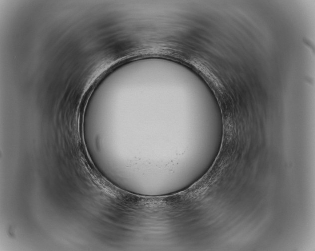 X0000094800886200711301537