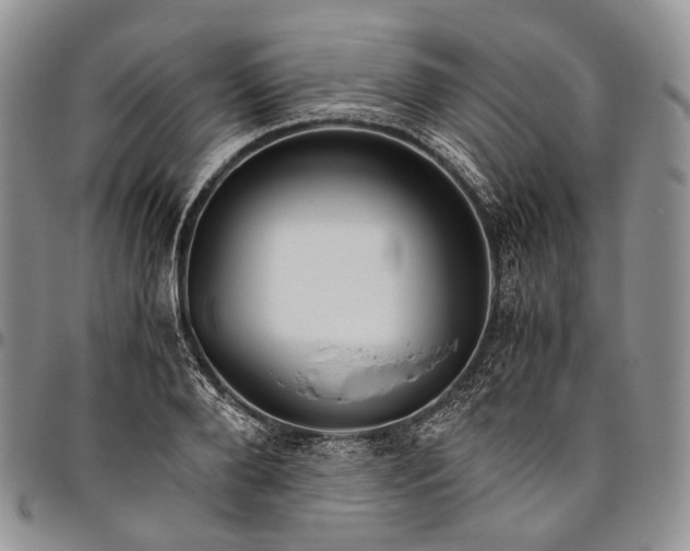 X0000094800888200711301537