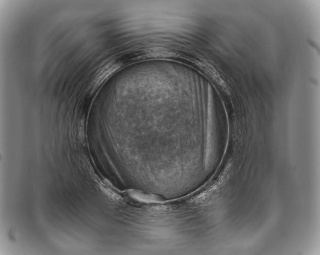 X0000094800889200711301537