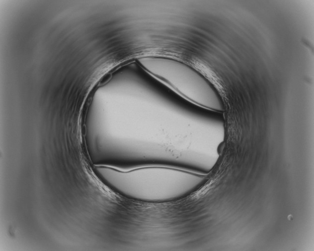 X0000094800892200711301537