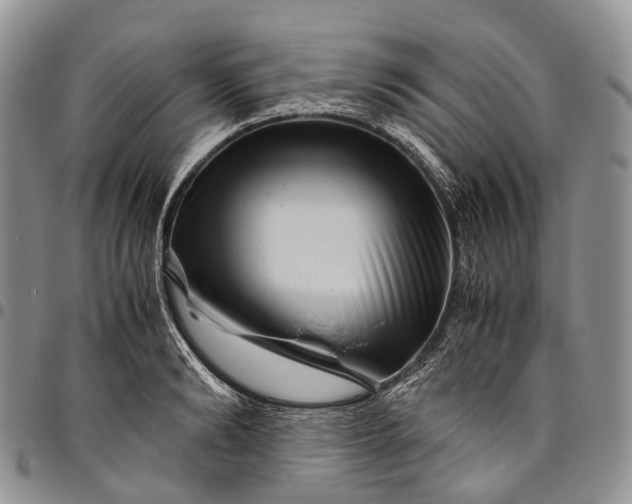 X0000094800894200711301537