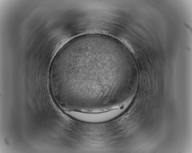 X0000094800895200711301537