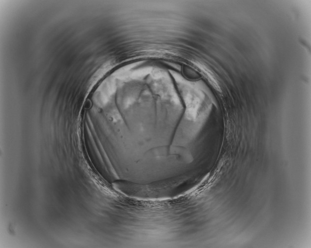 X0000094800899200711301537
