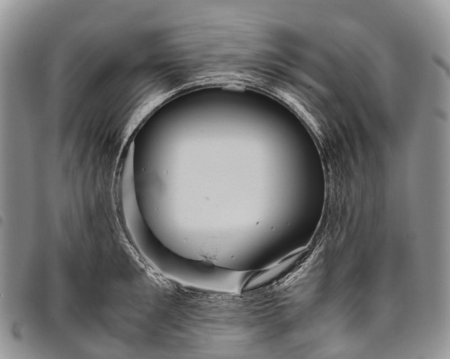 X0000094800901200711301537