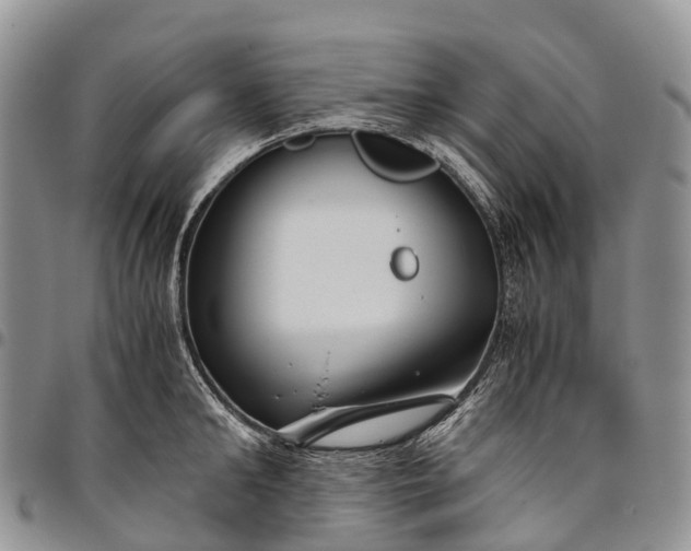 X0000094800902200711301537