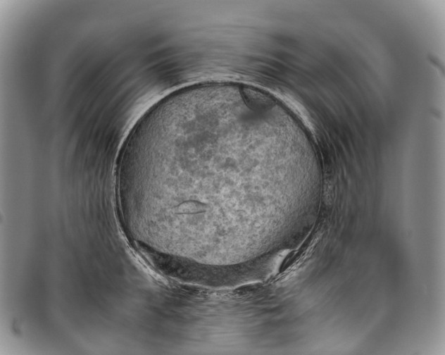 X0000094800903200711301537