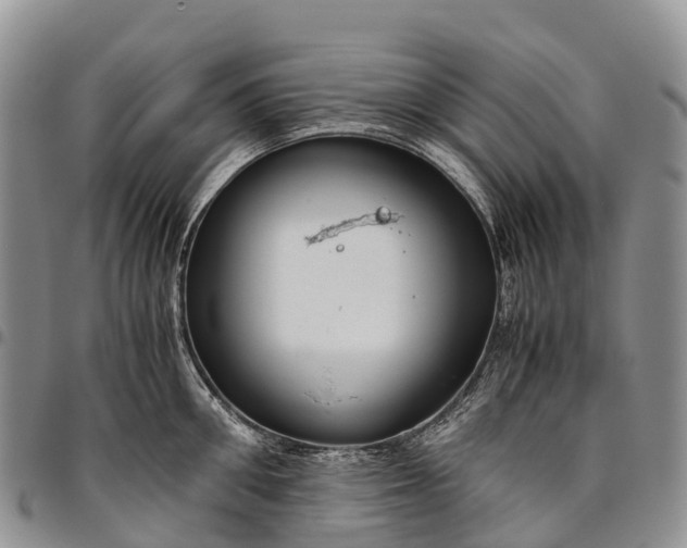 X0000094800906200711301537