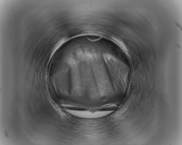 X0000094800907200711301537