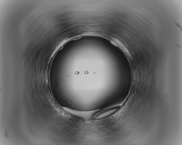 X0000094800908200711301537