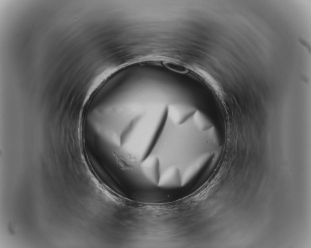 X0000094800910200711301536