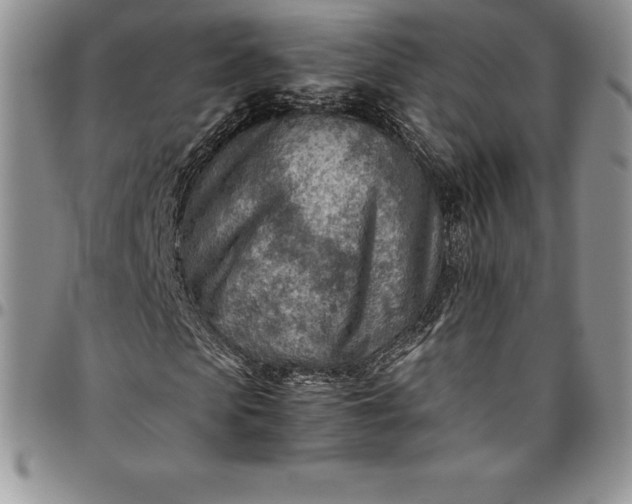 X0000094800913200711301536