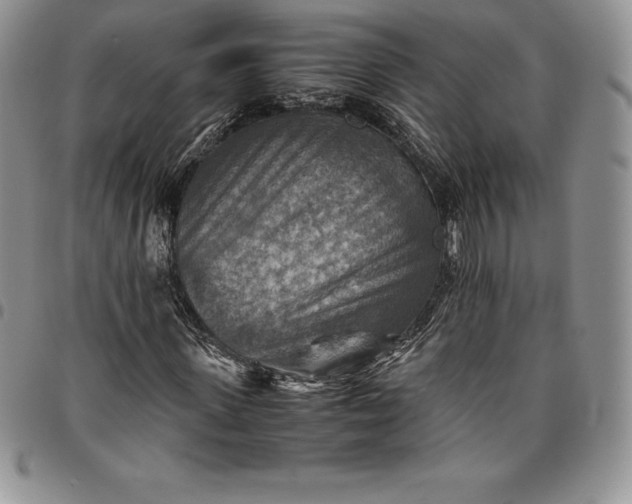 X0000094800915200711301536