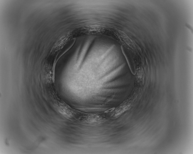 X0000094800916200711301536
