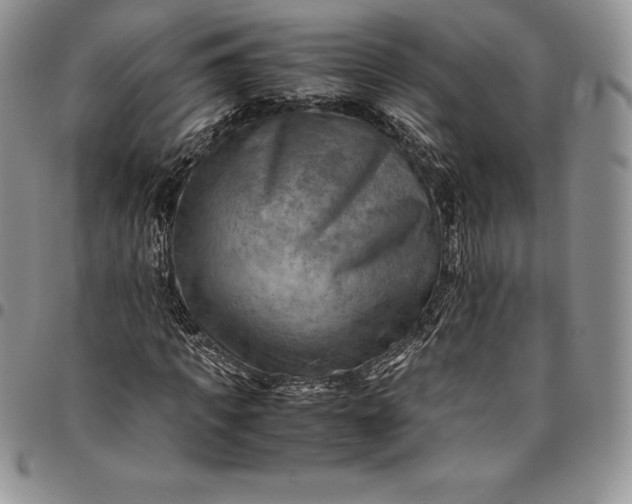 X0000094800917200711301536
