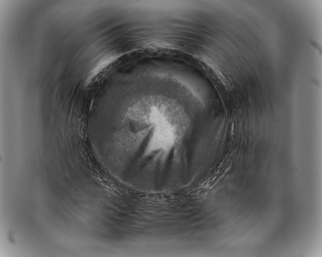 X0000094800919200711301536