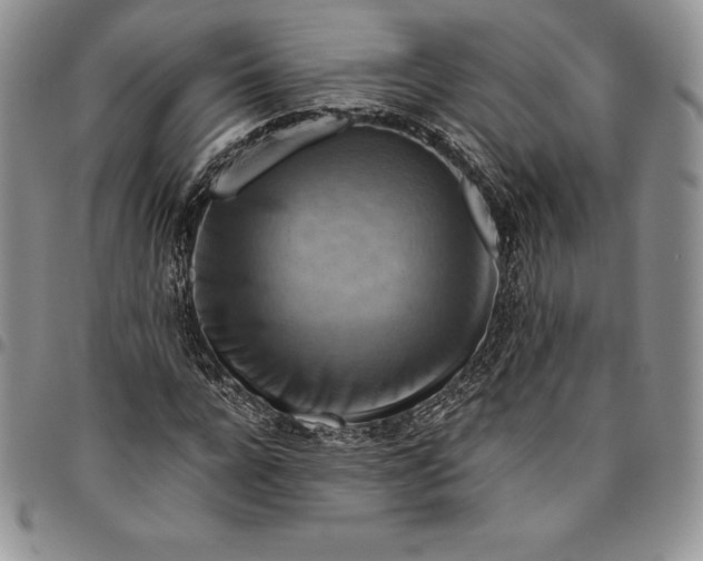 X0000094800920200711301536