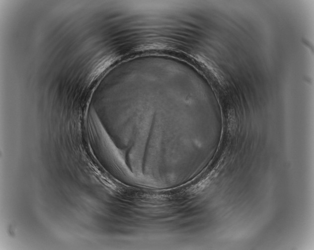 X0000094800921200711301536
