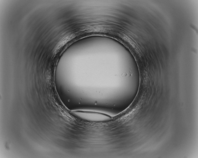 X0000094800922200711301536