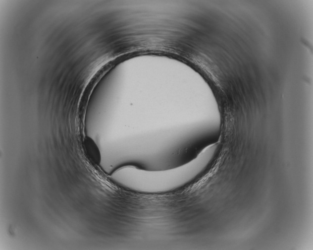 X0000094800924200711301536