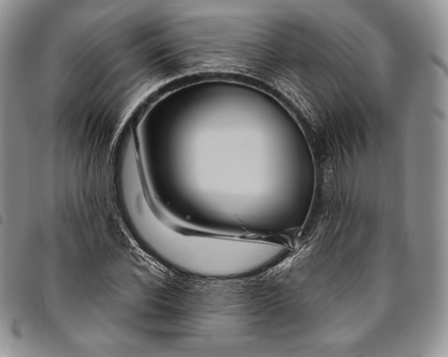 X0000094800926200711301536