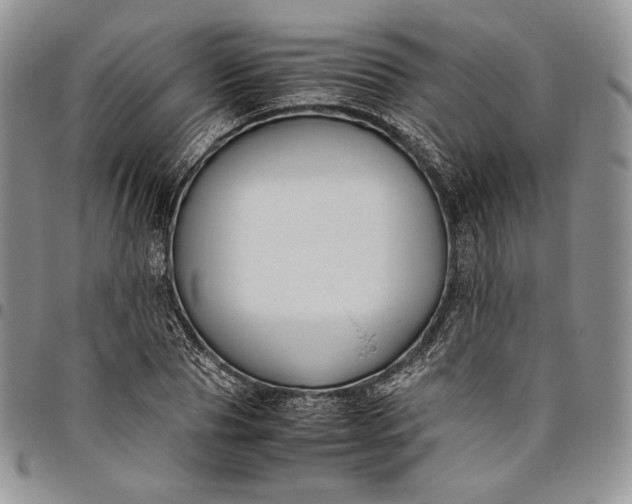 X0000094800929200711301536