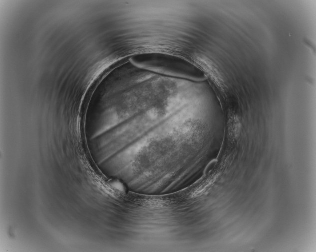 X0000094800932200711301536
