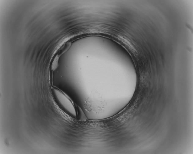 X0000094800934200711301536