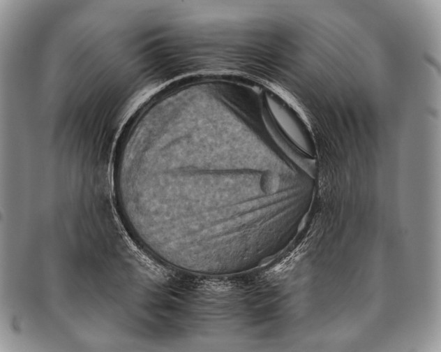 X0000094800935200711301536