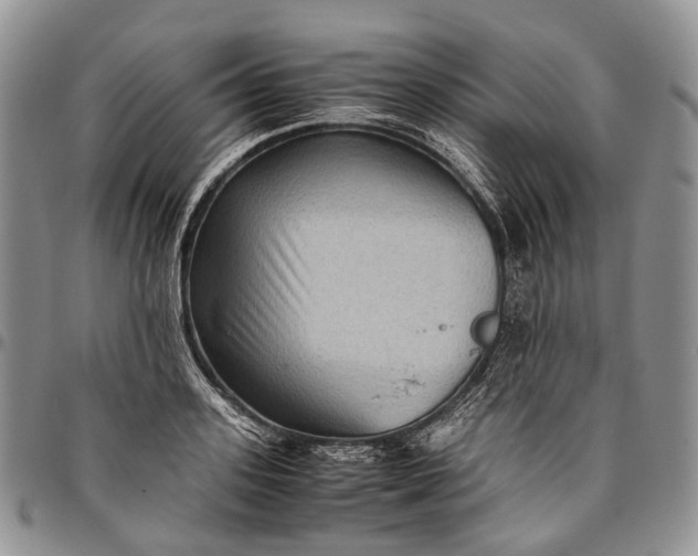 X0000094800939200711301536