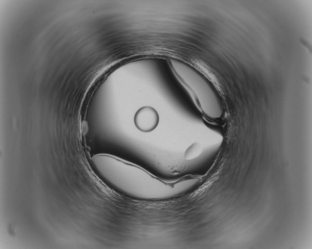 X0000094800940200711301536