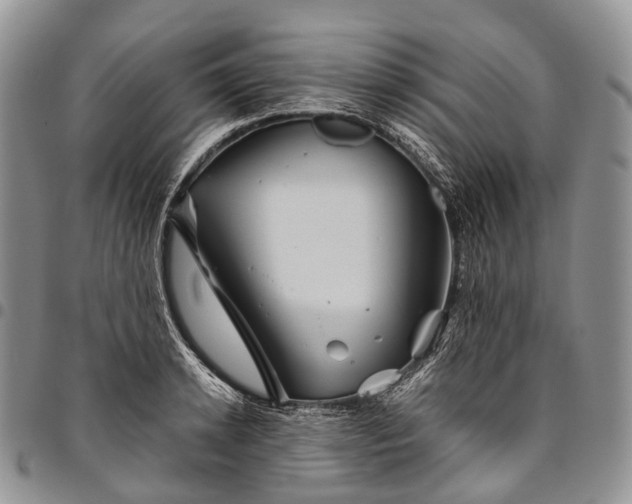 X0000094800942200711301536