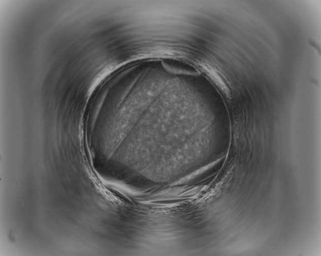 X0000094800944200711301536