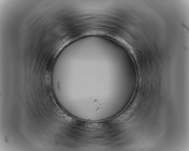 X0000094800945200711301536