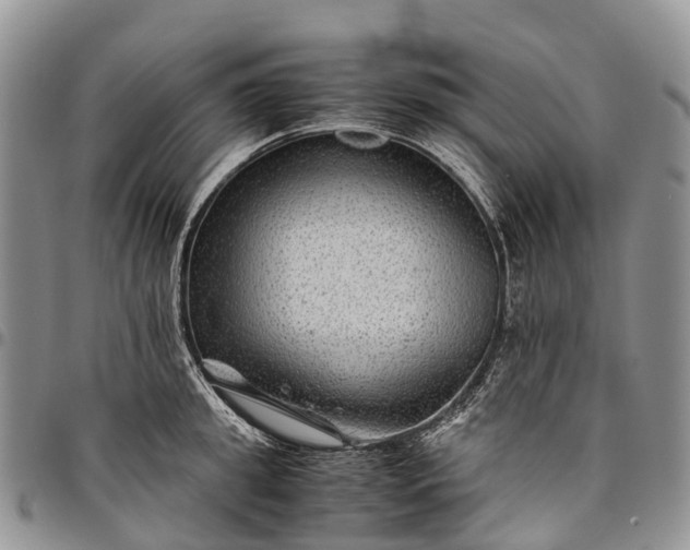 X0000094800949200711301536