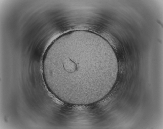 X0000094800950200711301536