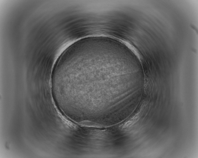 X0000094800951200711301536