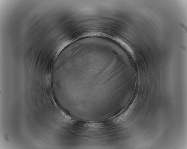 X0000094800953200711301536