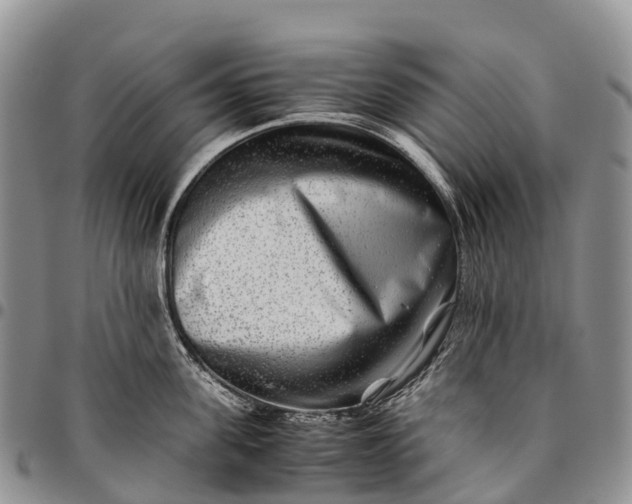 X0000094800955200711301536