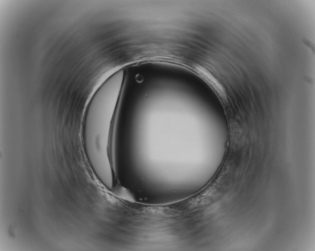 X0000094800956200711301536