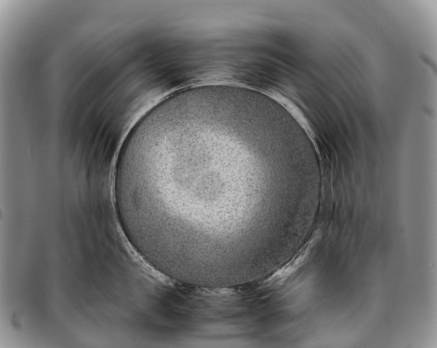 X0000094800957200711301536