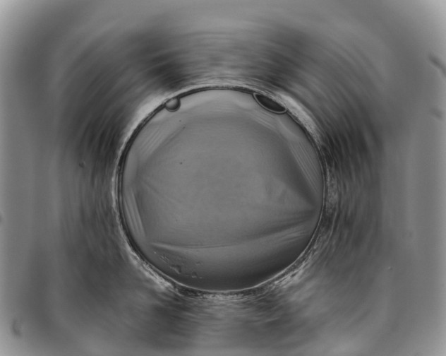 X0000094800958200711301536