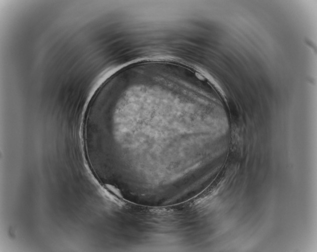 X0000094800959200711301536