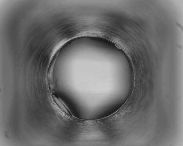 X0000094800960200711301536