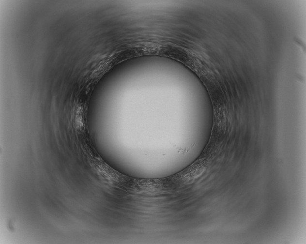 X0000094800962200711301536