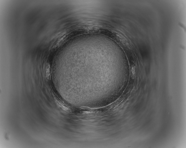 X0000094800963200711301536